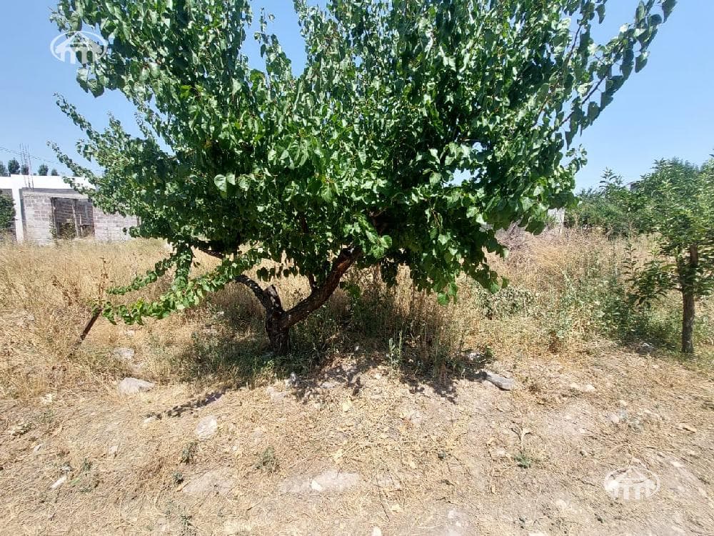 Հողատարածք · 420 մ² · Առինջ