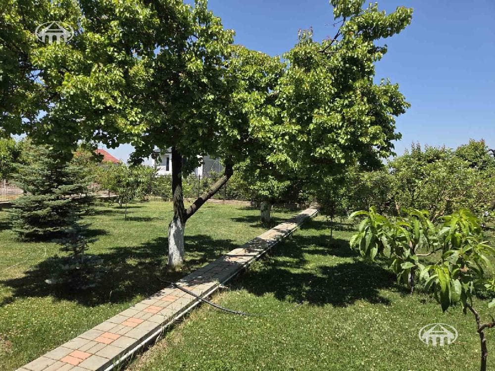 Mansion · 5 rooms · 296 m² · Djrvej