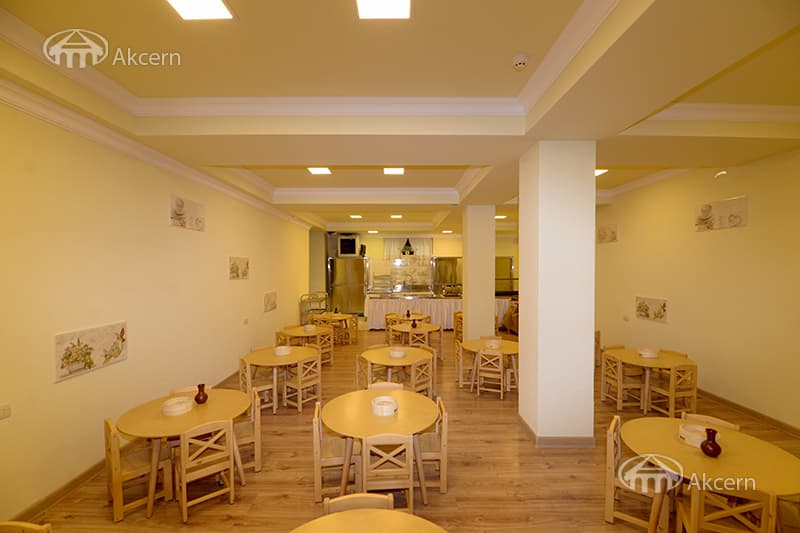Other · 1,300 m² · Ajapnyak