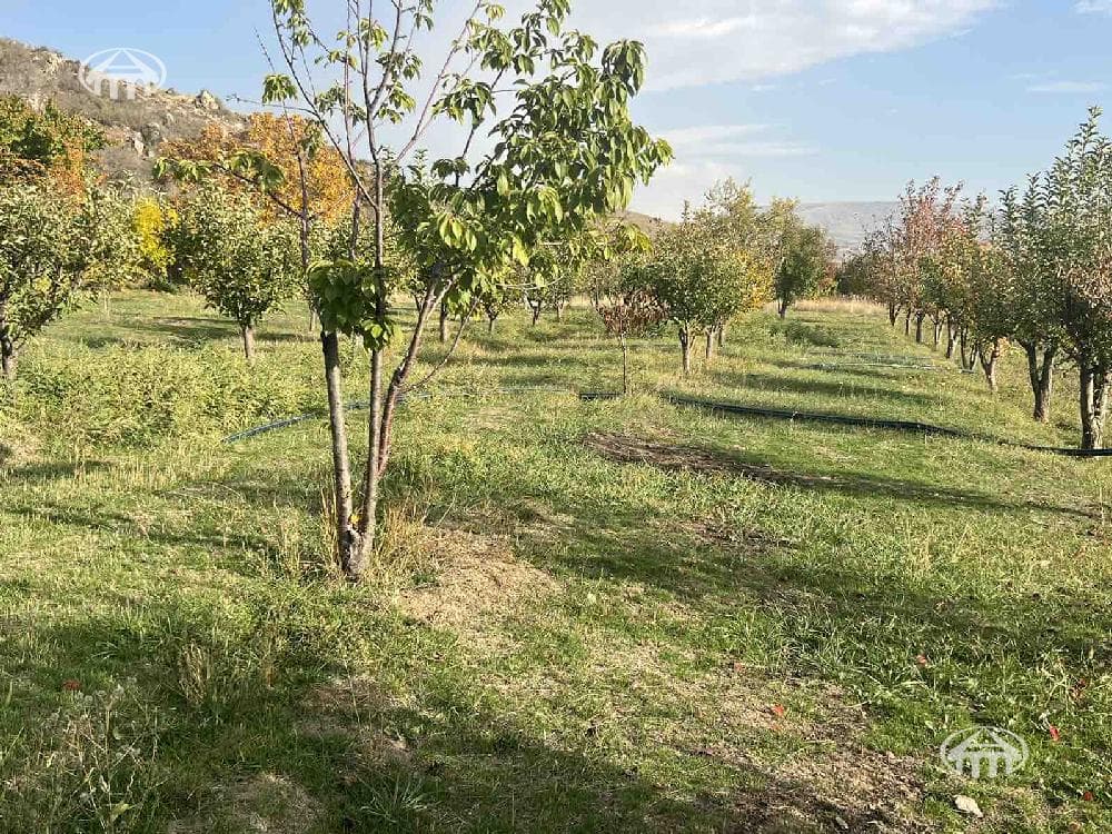 Участок · 2 810 м² · Катнахпюр