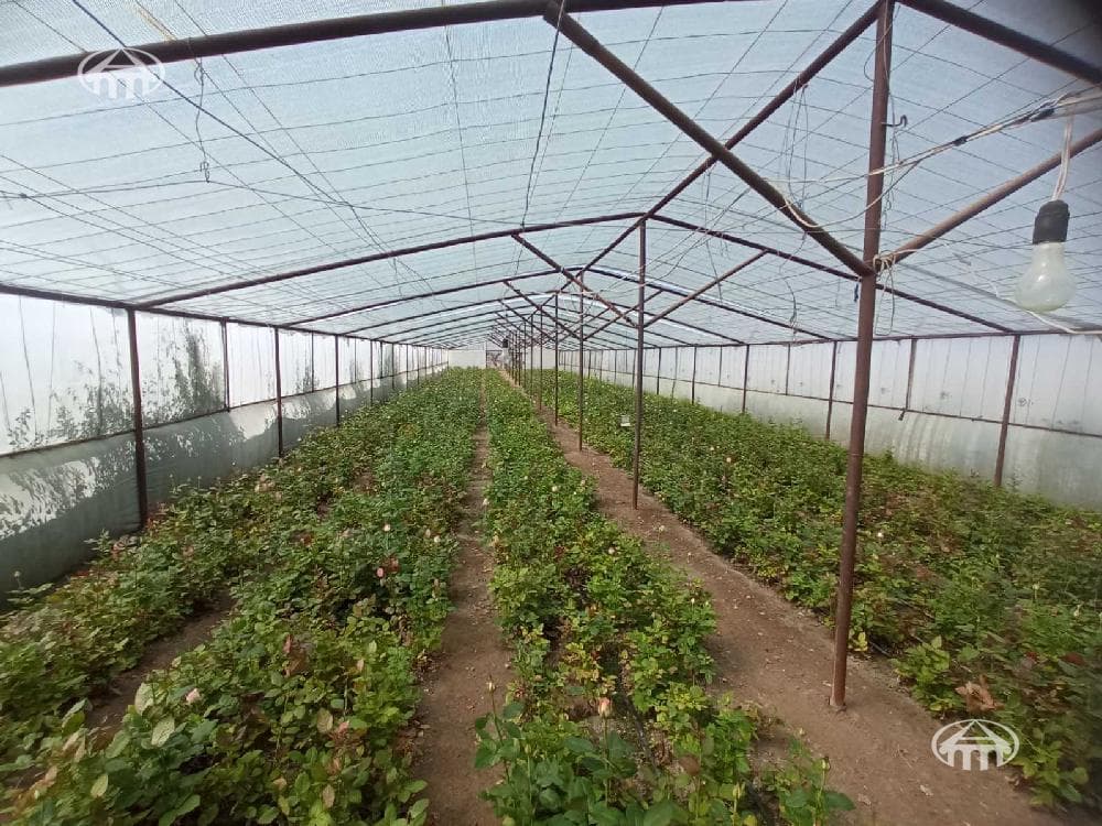 Прочее · 10 000 м² · Вагаршапат
