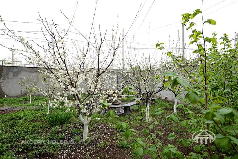 Առանձնատուն · 4 սեն. · 229 մ² · Ավան