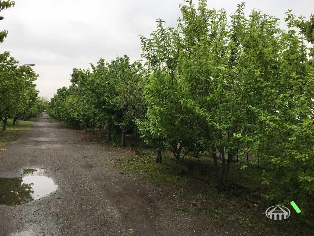 Other · 5,000 m² · Shengavit