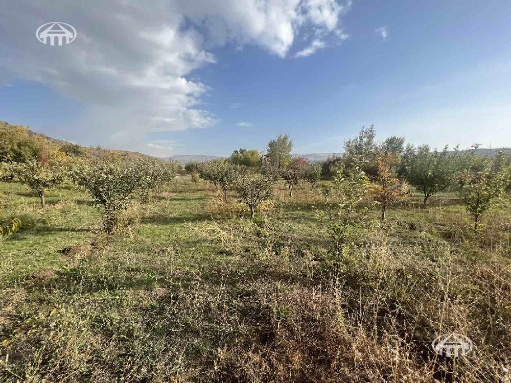 Участок · 2 810 м² · Катнахпюр