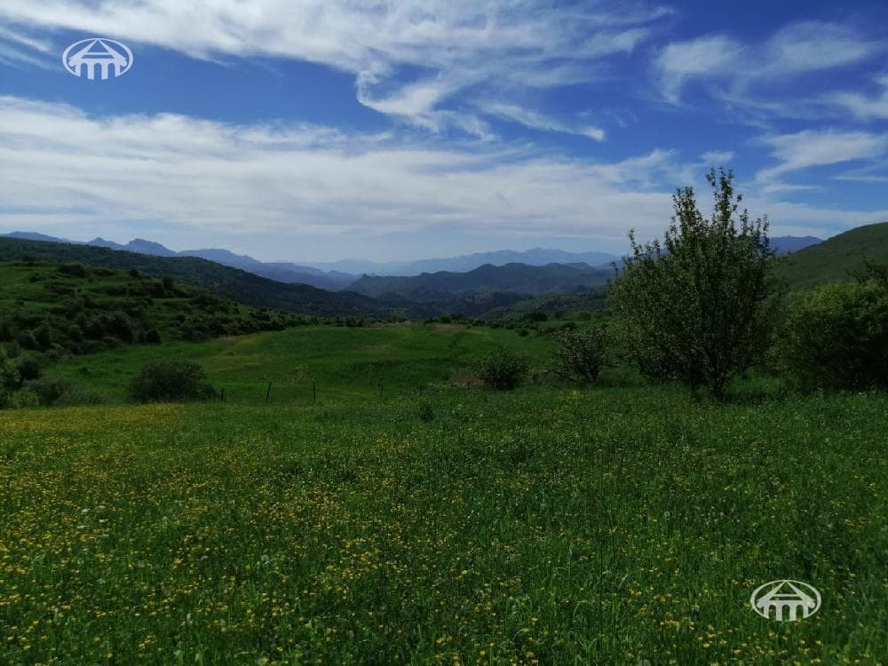 Участок · 3 560 м² · с. Артаван