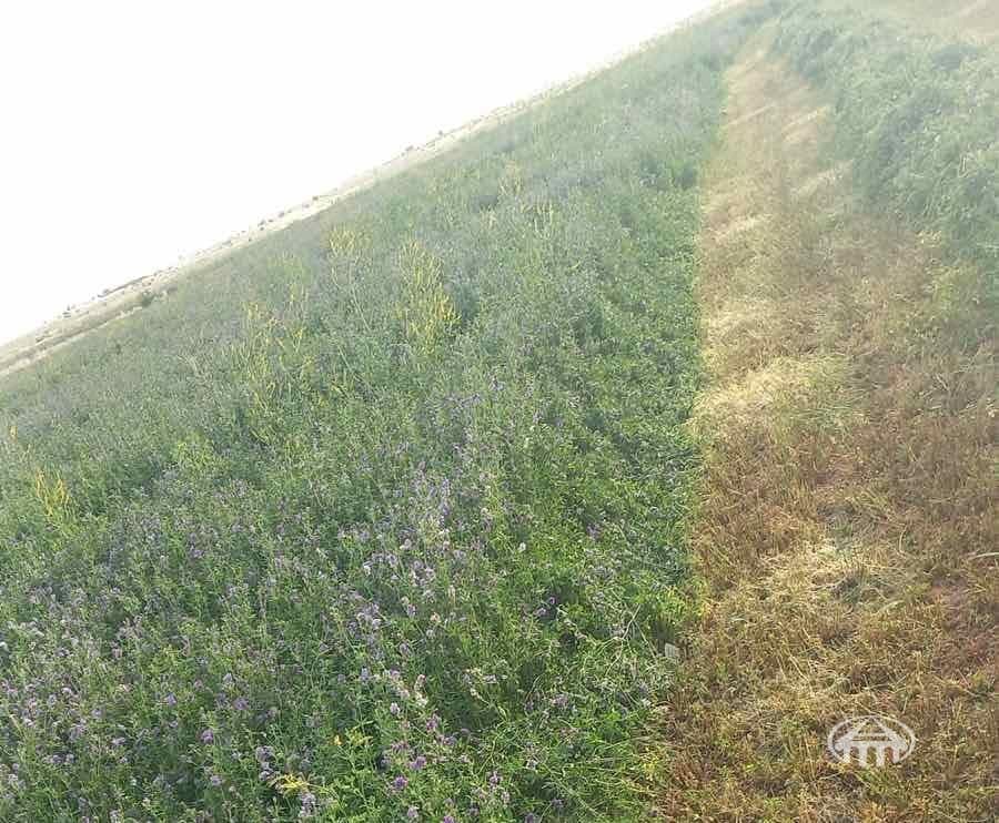 Հողատարածք · գ. Կողբավան