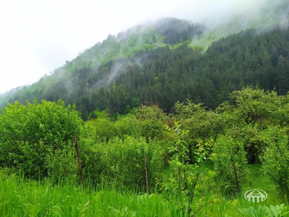 Участок · 1 652 м² · Дилиджан