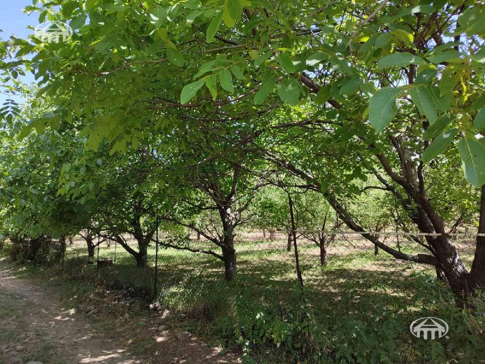 Особняк · 4 комн. · 191 м² · Гегард
