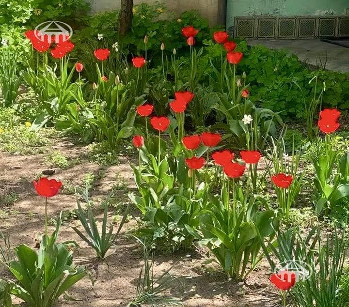 Առանձնատուն · 3 սեն. · 185 մ² · Քանաքեռ-Զեյթուն