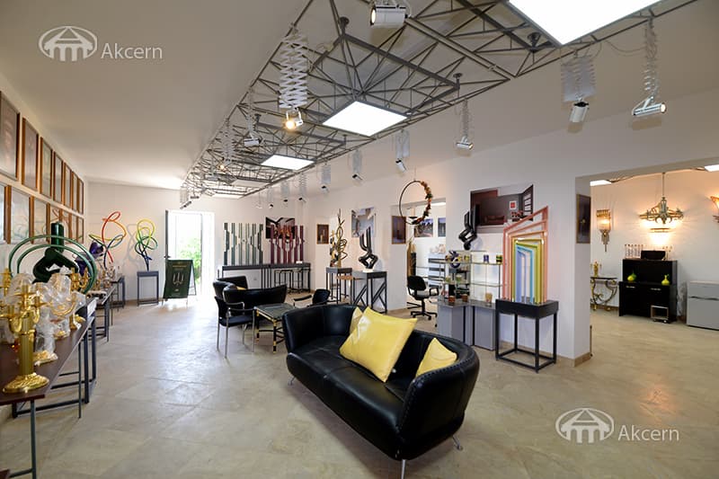 Mansion · 9 rooms · 600 m² · Balahovit