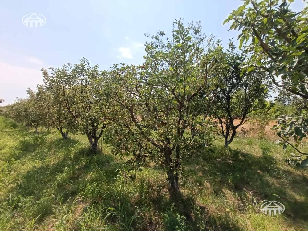 Հողատարածք · 4100 մ² · Արագածոտնի մարզ