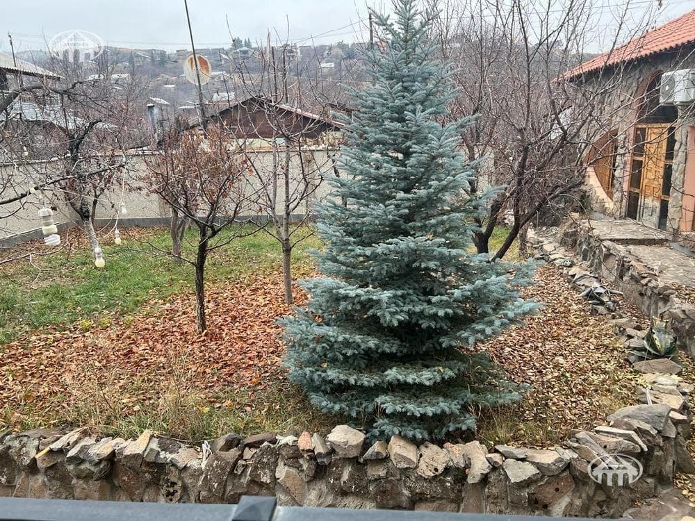 Mansion · 330 m² · Karashamb — photo 2 / 10