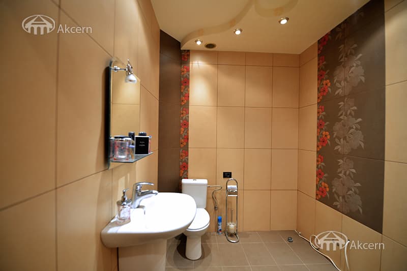 Mansion · 9 rooms · 680 m² · Arabkir