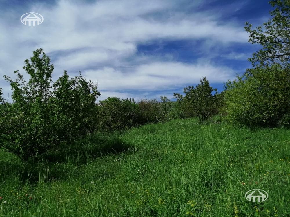 Հողատարածք · 3560 մ² · գ. Արտավան