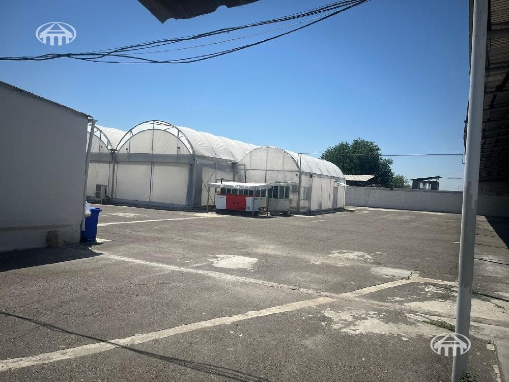 Other · 8,111 m² · Masis