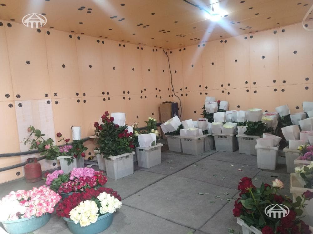 Other · 3,058 m² · v. Dasht