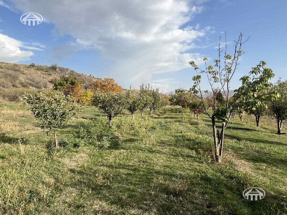Участок · 2 810 м² · Катнахпюр