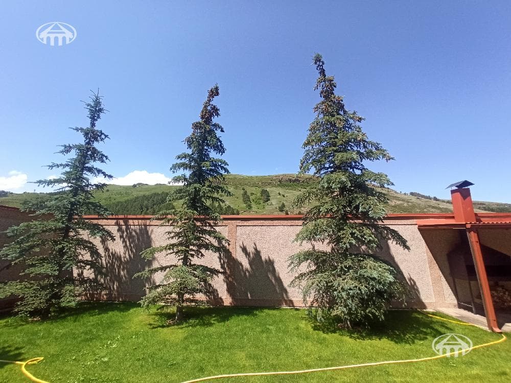 Mansion · 4 rooms · 128 m² · Tsaghkadzor