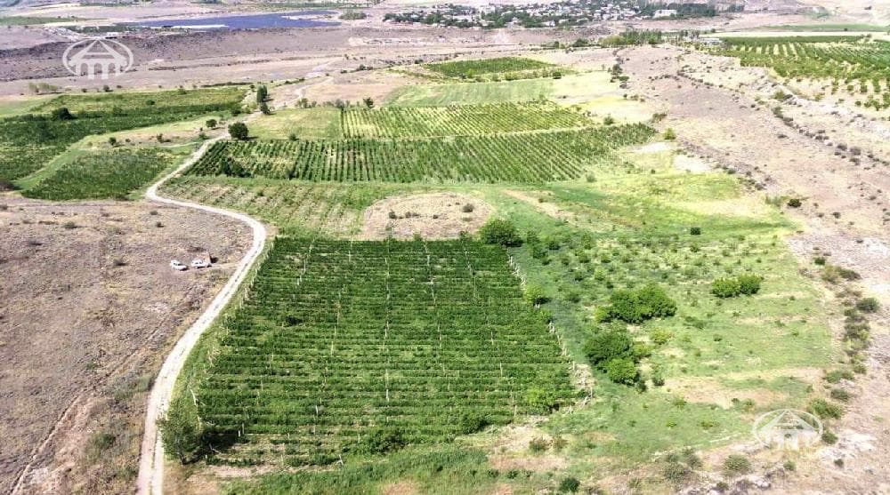 Land · 37,600 m² · Aragatsotn