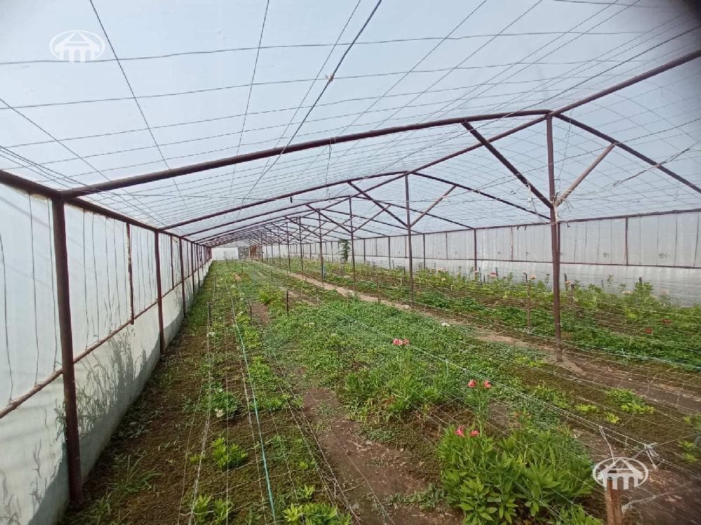 Прочее · 10 000 м² · Вагаршапат
