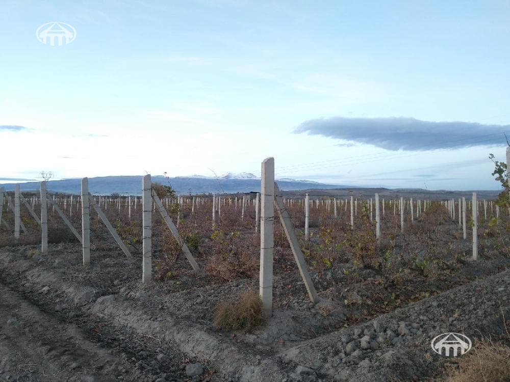 Land · 130,924 m² · Echmidzin