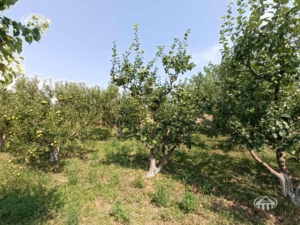 Հողատարածք · 4100 մ² · Արագածոտնի մարզ