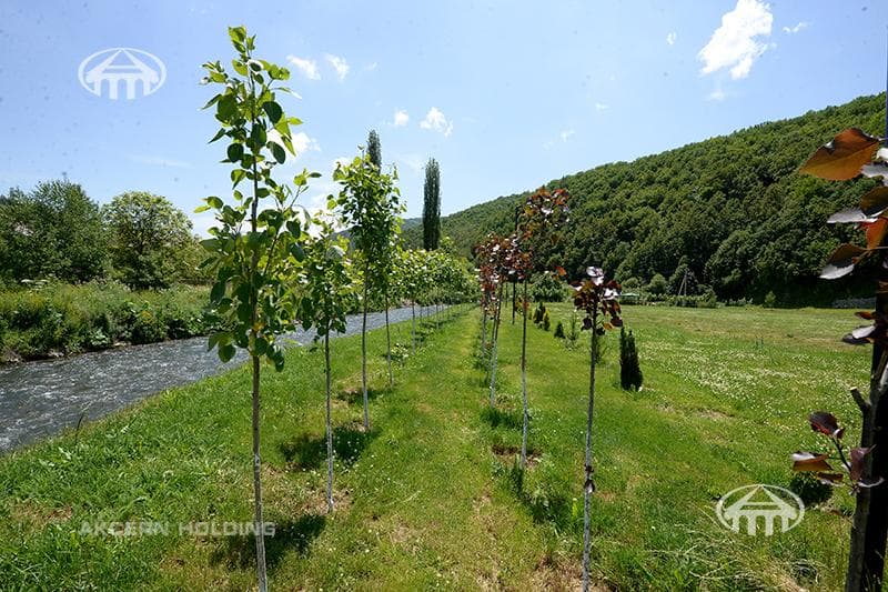 Land · 14,290 m² · v. Artavaz