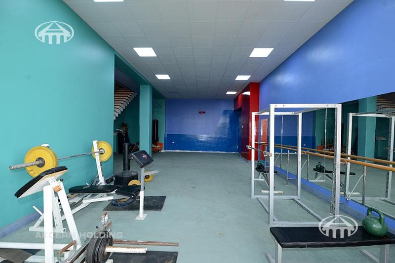 Mansion · 6 rooms · 817 m² · Arabkir