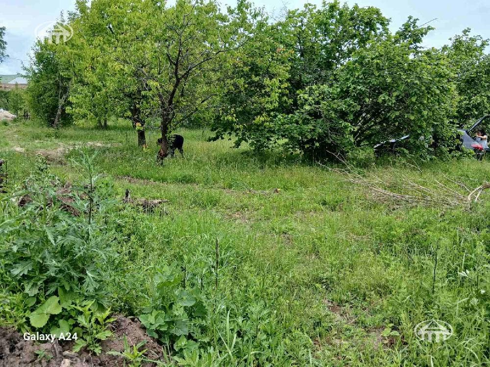 Հողատարածք · 700 մ² · գ. Բազմաղբյուր
