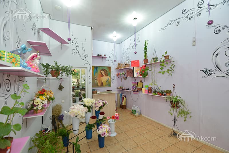 Այլ · 18 մ² · Արաբկիր