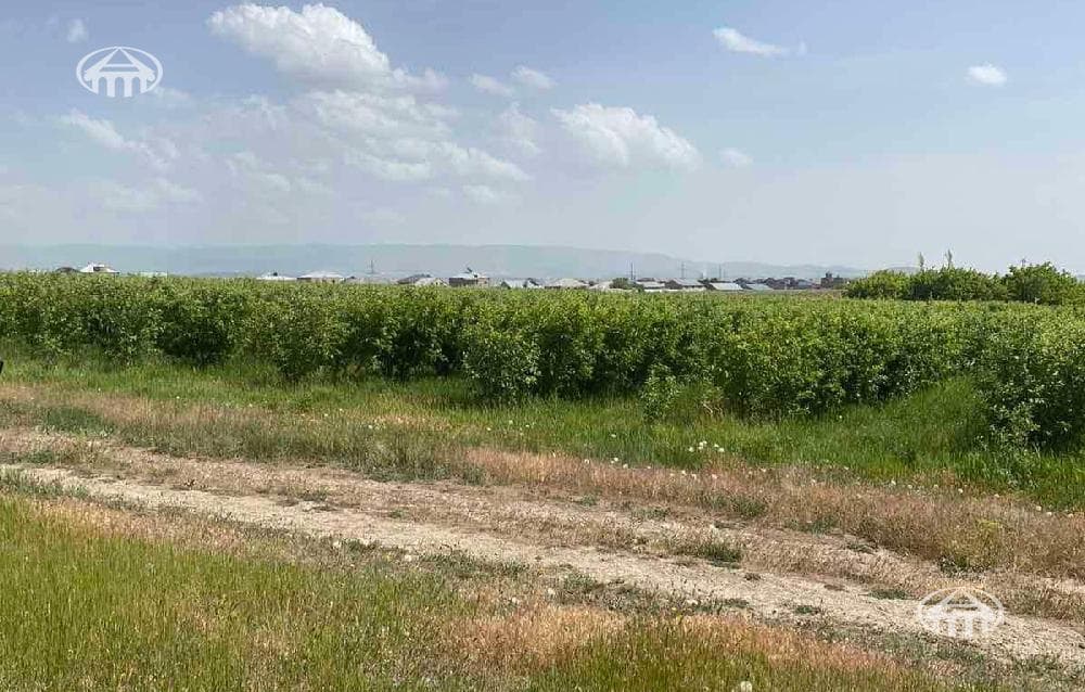 Участок · 6 530 м² · Нор Гехи