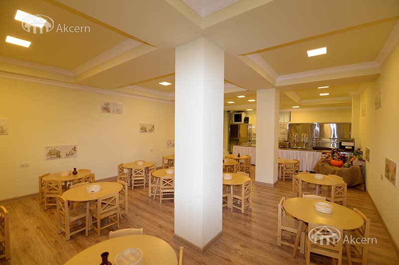 Other · 1,300 m² · Ajapnyak