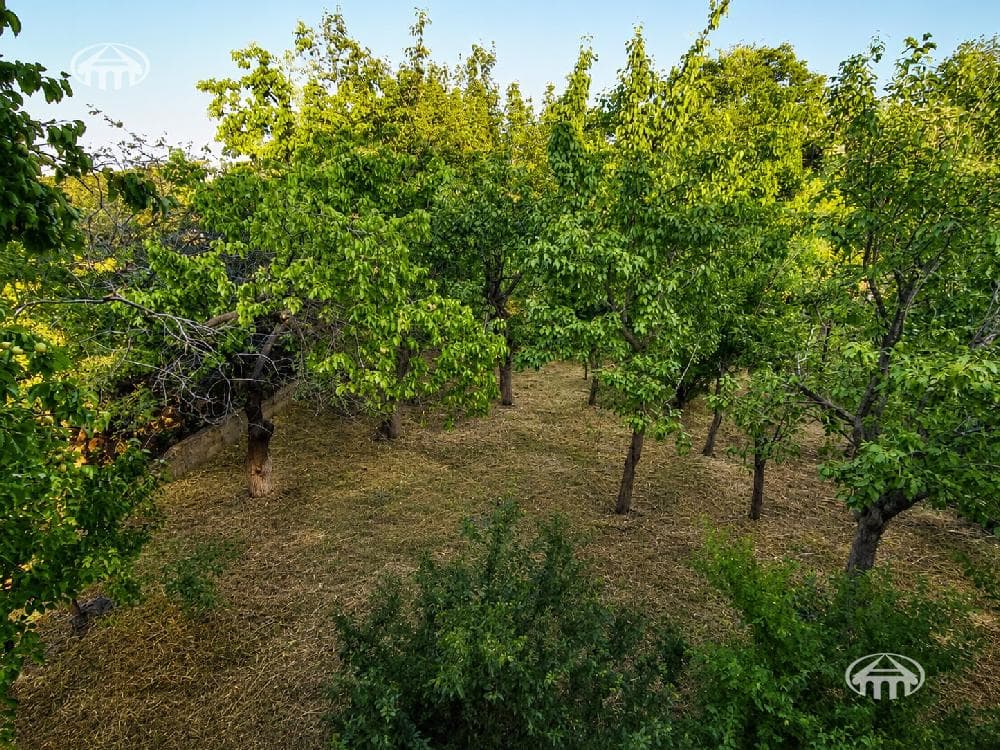 Ամառանոց · 4 սեն. · 136 մ² · Ձորաղբյուր