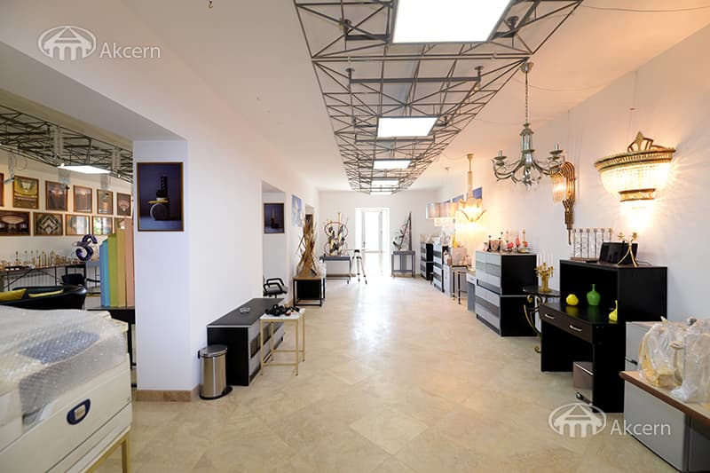 Mansion · 9 rooms · 600 m² · Balahovit