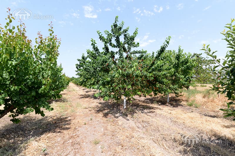 Особняк · 5 комн. · 174 м² · Арарат