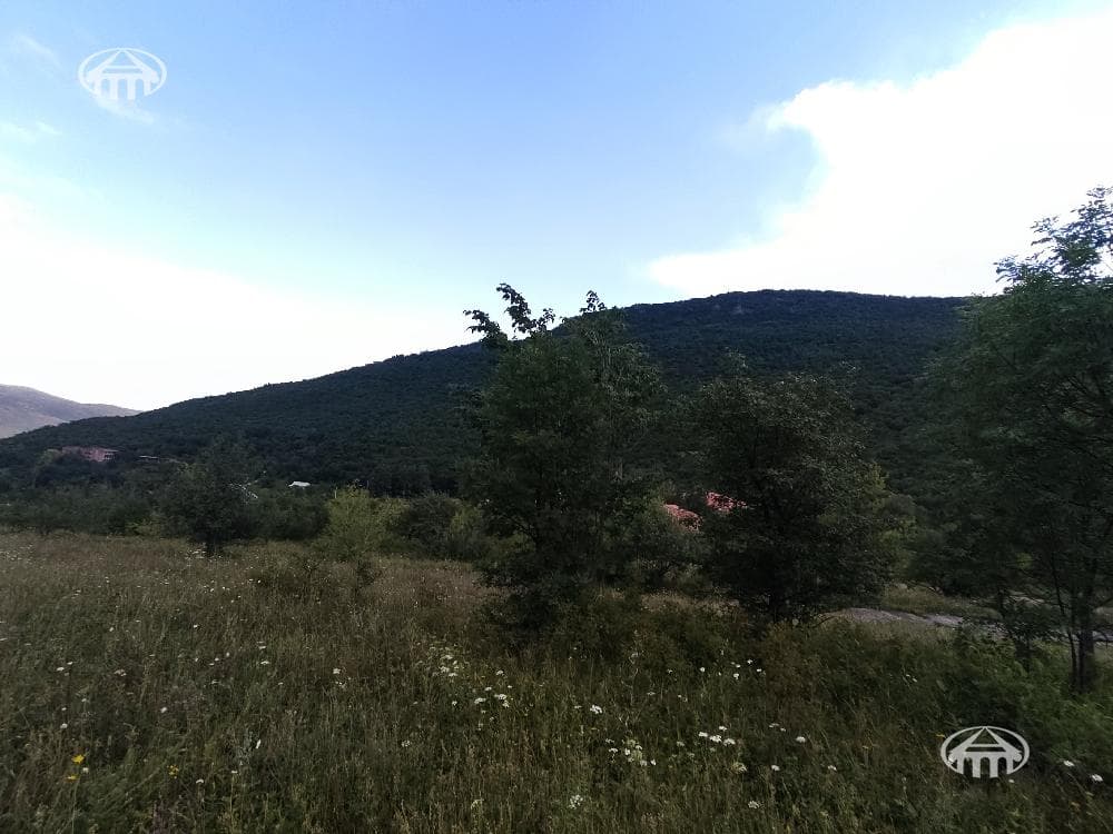 Հողատարածք · 25 000 մ² · Մեղրաձոր