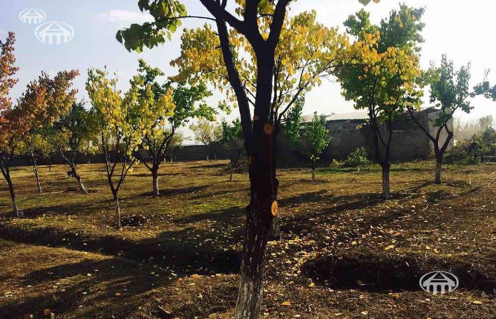 Other · 2,320 m² · Ararat Province