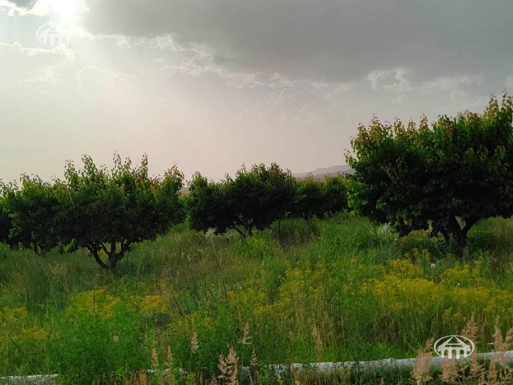 Land · 39,570 m² · Lusakn