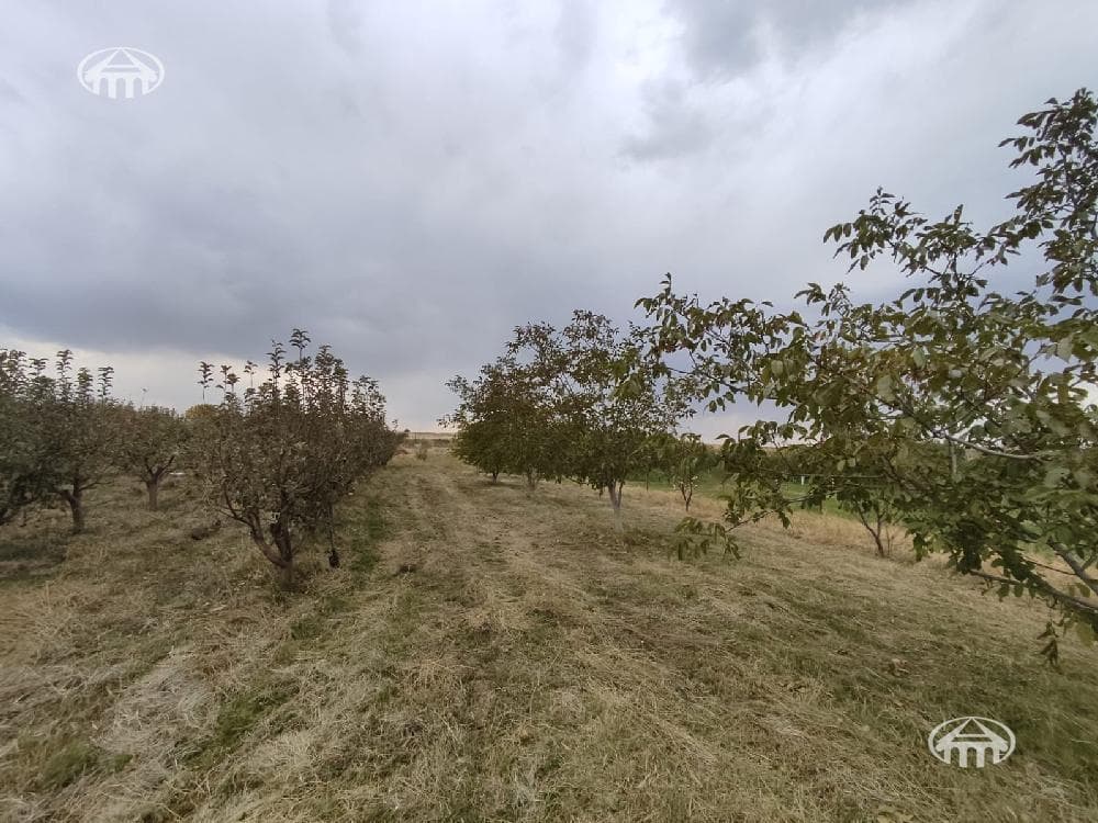 Участок · 2 000 м² · Зовуни