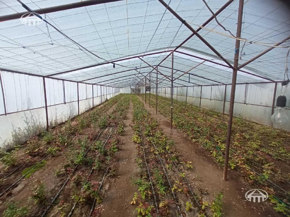 Прочее · 10 000 м² · Вагаршапат