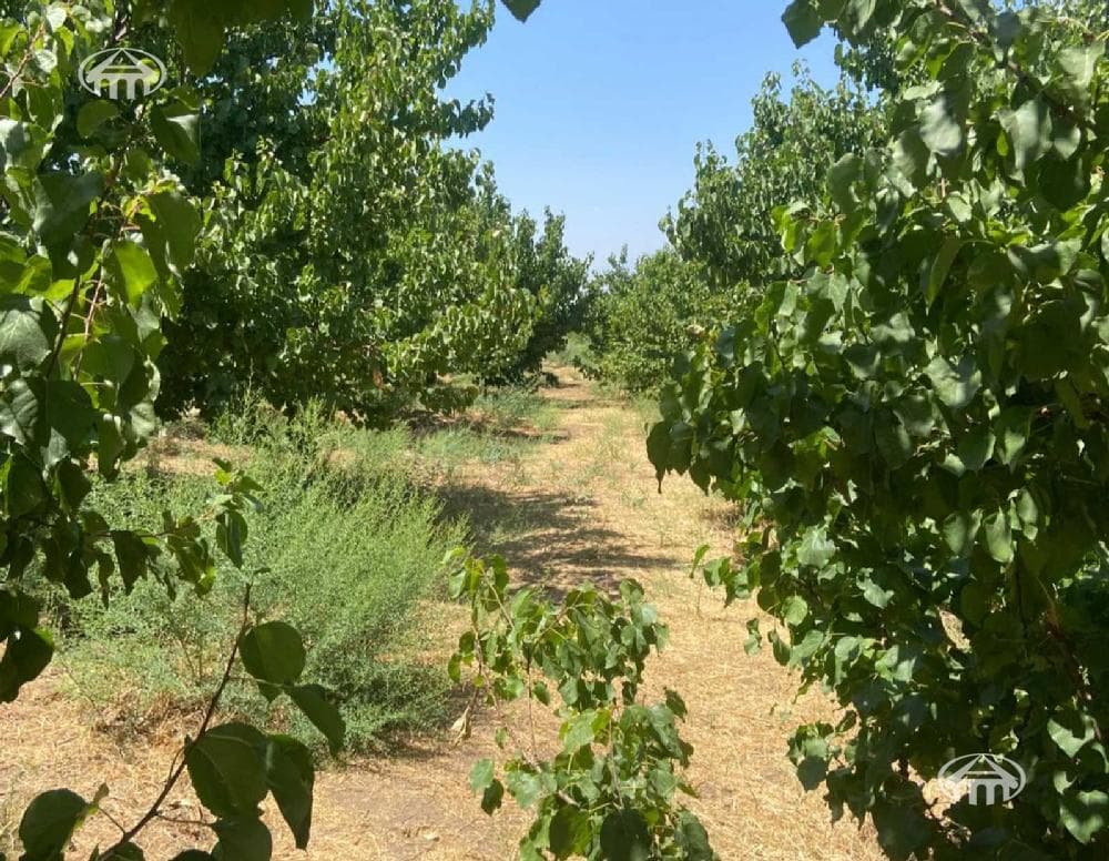 Հողատարածք · 40 000 մ² · Արմաշ