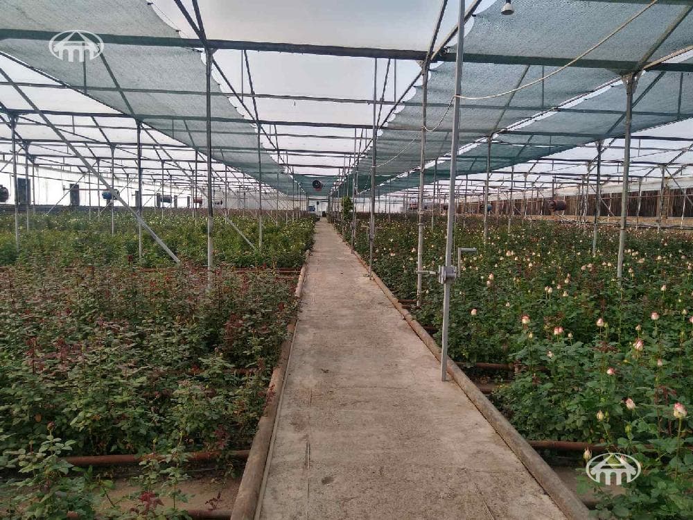 Այլ · 3058 մ² · գ. Դաշտ