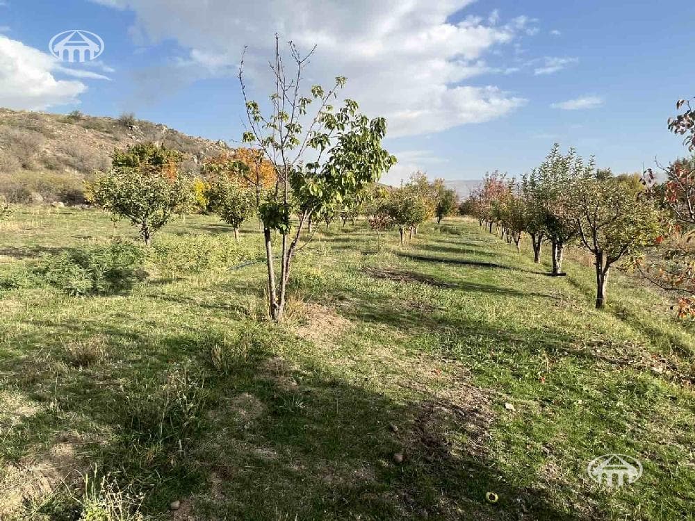 Участок · 2 810 м² · Катнахпюр