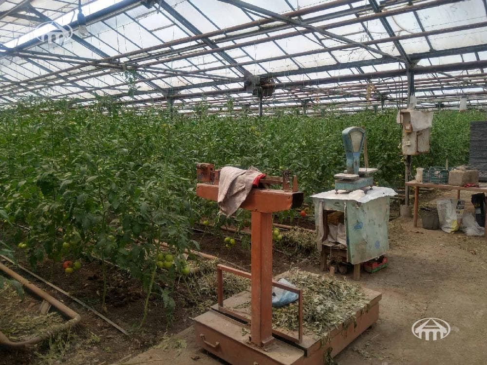 Այլ · 142 մ² · Էրեբունի