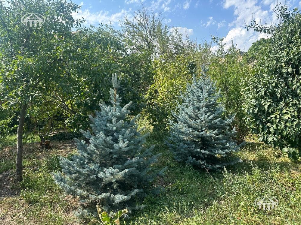 Дом · 5 комн. · 223 м² · Норк-Мараш