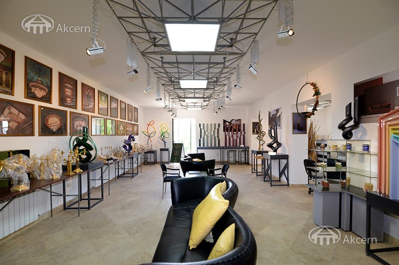 Mansion · 9 rooms · 600 m² · Balahovit