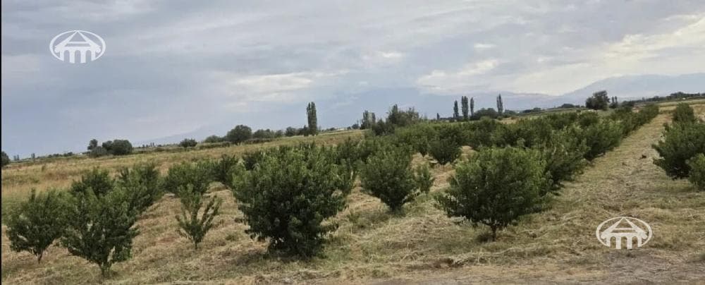 Участок · 4 300 м² · Гегакерт