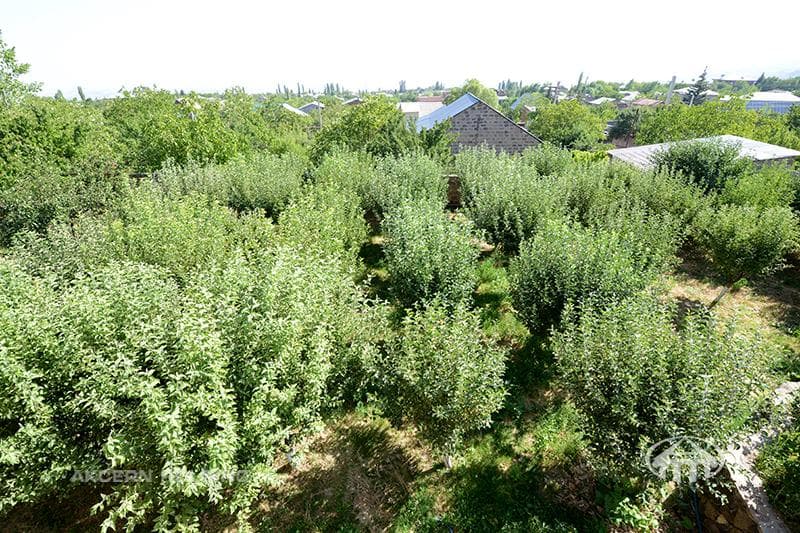 Առանձնատուն · 5 սեն. · 311 մ² · Անտառուտ