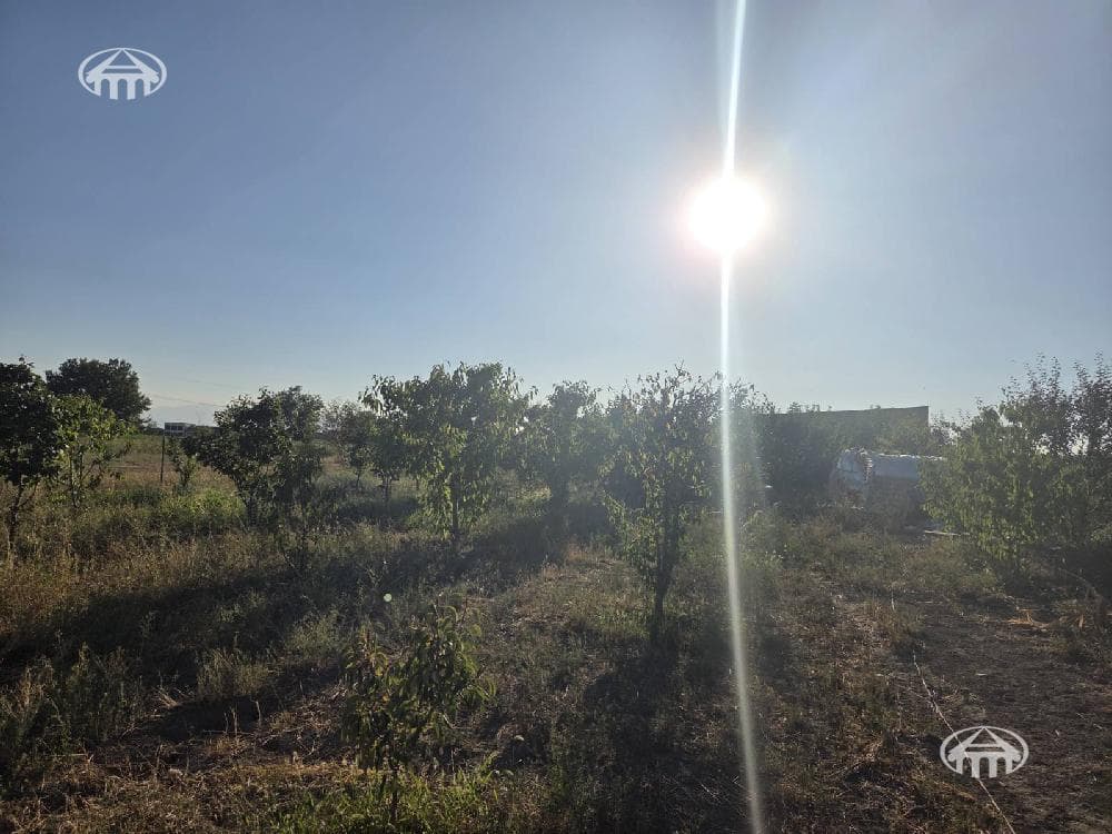 Commercial property · 256 m² · Aintap