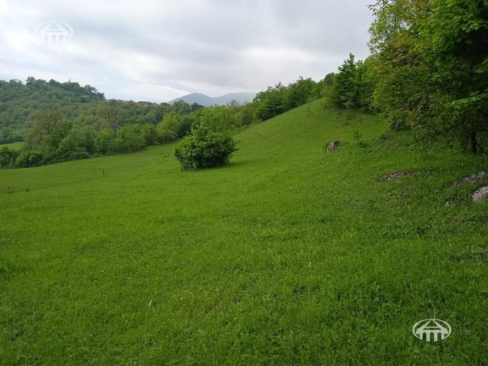 Участок · 6 200 м² · Енокаван